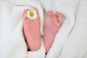 Zwei kleine Babyfüße liegen auf einem weißen, flauschigen Handtuch. Auf einem der Füße ist eine kleine Blume, eine Margerite, platziert. Die Füße sind zart und rundlich, was die Unschuld und Neuheit des Neugeborenen symbolisiert.
